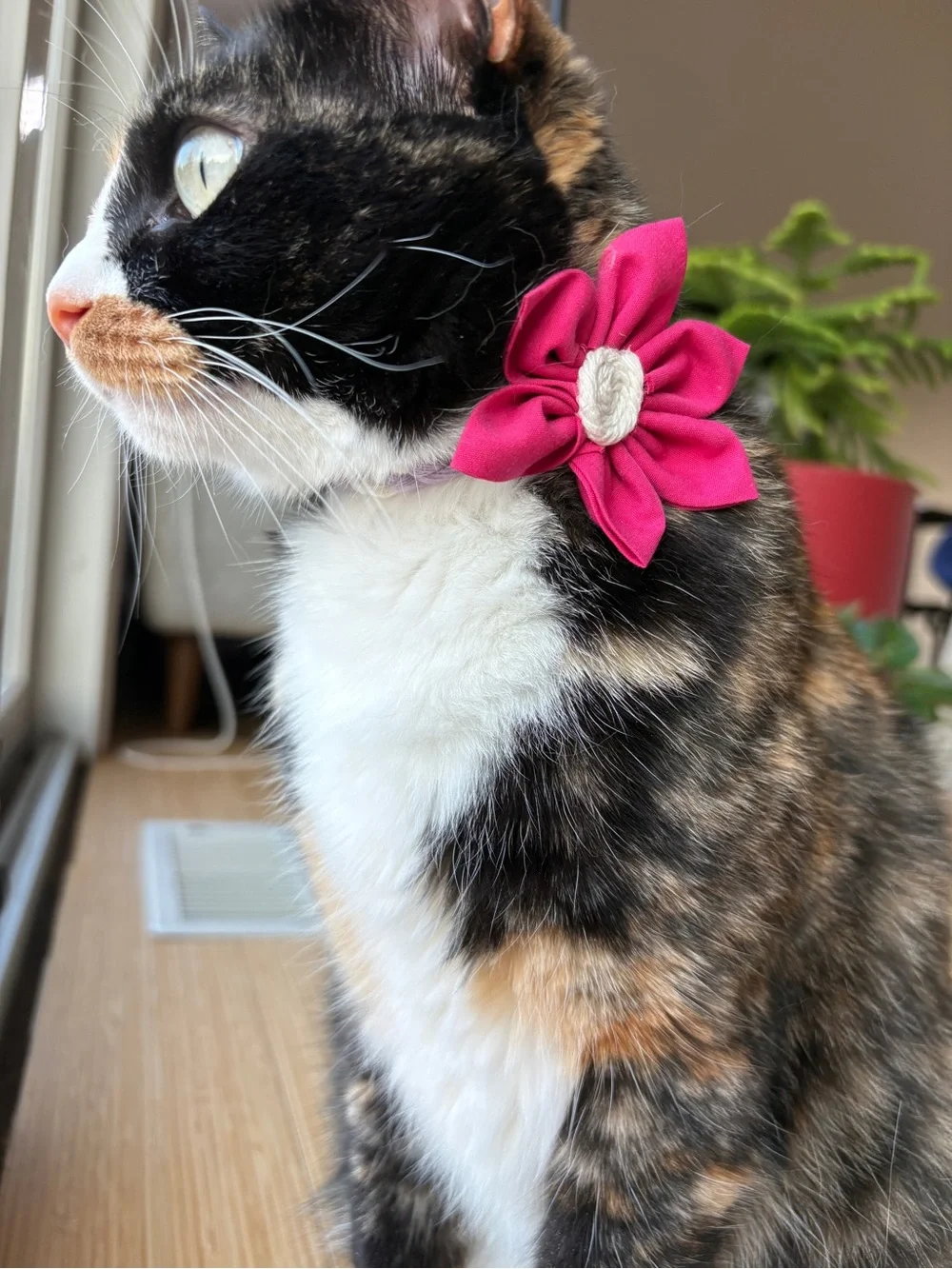 Handmade by Zink & Dot- Removable Pet Collar Floral Accessory